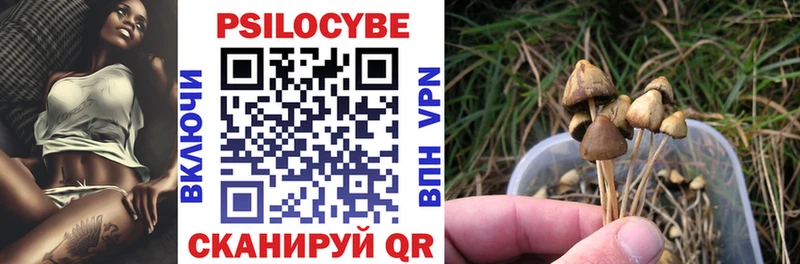 Псилоцибиновые грибы GOLDEN TEACHER  что такое   Будённовск 