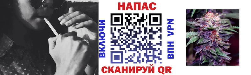 Бошки Шишки сатива Будённовск